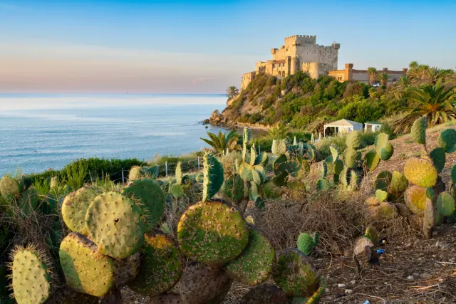 Prickly pear cacti fill the foreground below a stone castle overlooking calm blue water along a rocky coast.