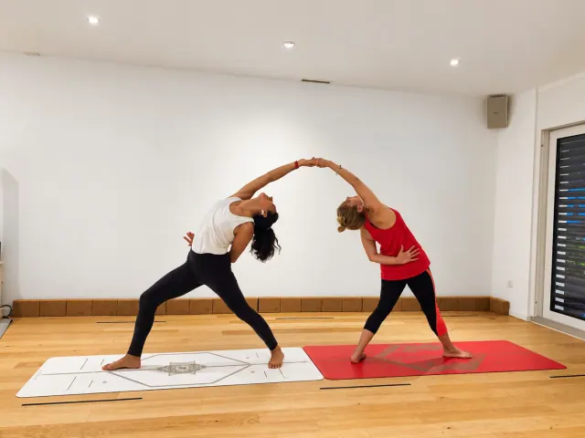 Two women hold hands overhead as they lean away from each other in standing side bends on adjacent mats.