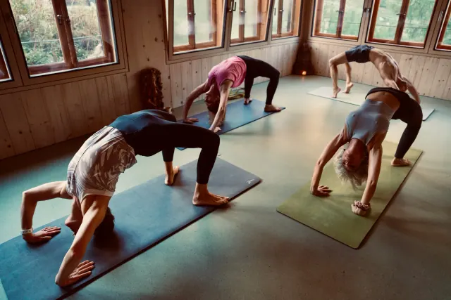 Four people hold wheel pose on their yoga mats in a sunlit wooden room with large windows overlooking trees.