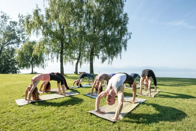 A group holds wheel pose on mats beneath leafy trees, with a calm lake beyond the sunlit grass.