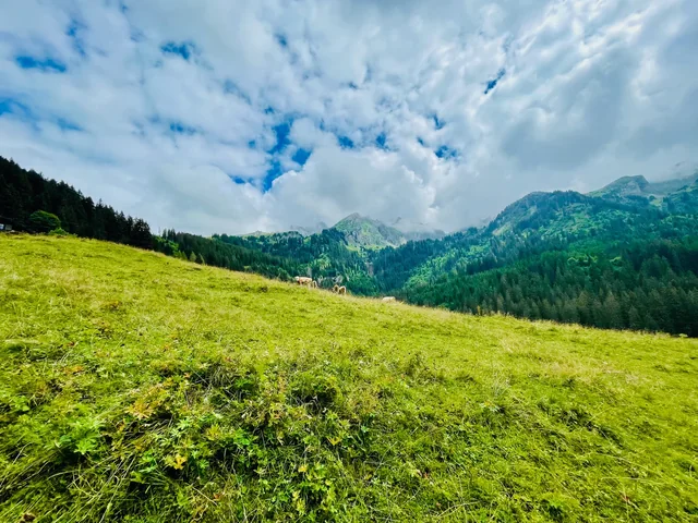 A green alpine meadow rises toward forested slopes and rugged mountain peaks beneath a cloud-filled sky.