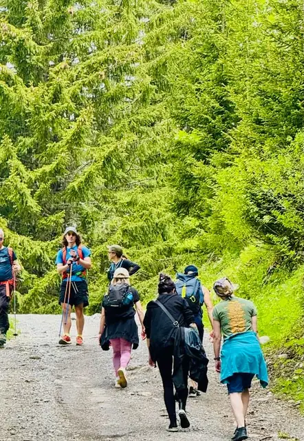 A group of hikers follows a gravel trail uphill through lush evergreen forest, carrying backpacks and walking poles.