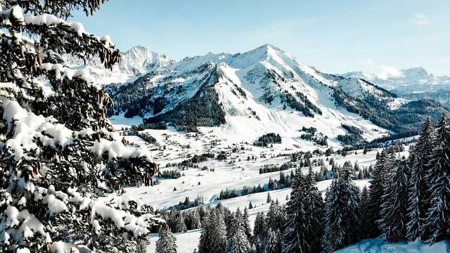 Snow-covered mountains rise above an alpine valley dotted with chalets and evergreen trees under a pale blue winter sky.
