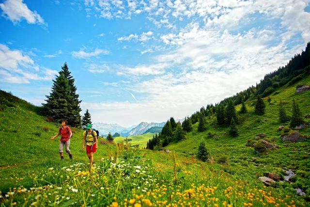 Two hikers cross a meadow filled with yellow wildflowers on the route toward Pic Chaussy, with mountains beneath a clouded sky.