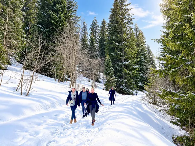 A group walks along a snow-covered forest trail in sunshine, surrounded by tall evergreens and deep snowbanks.