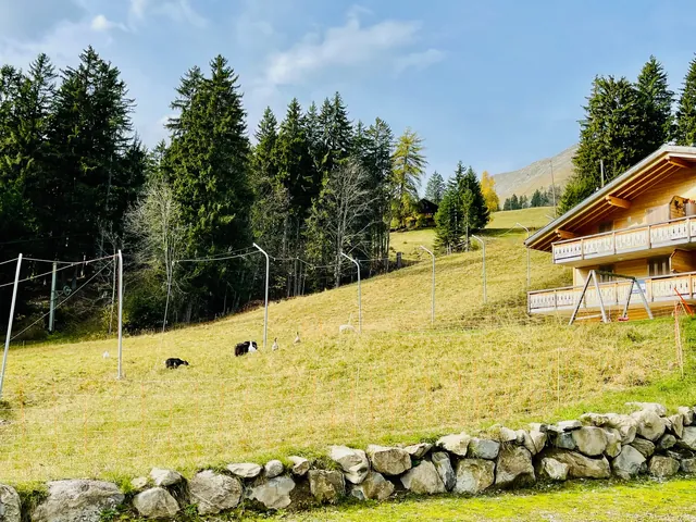 A wooden chalet stands beside a sloping alpine meadow, with a stone wall in front and evergreen forest beyond.