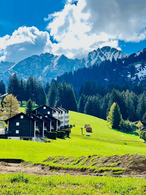 Wooden chalets sit in a vivid green alpine meadow beneath evergreen forests, rocky mountain peaks and large white clouds.