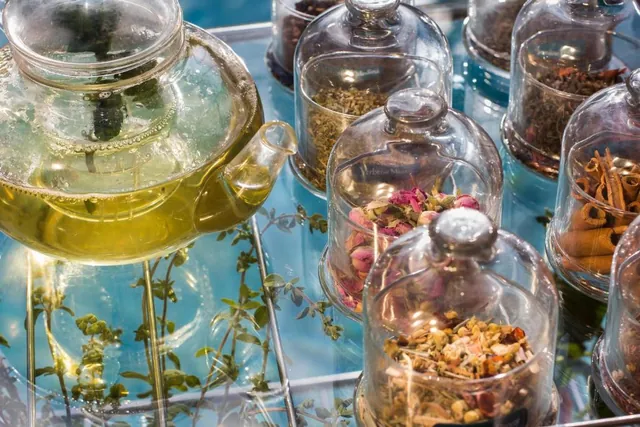 Une théière en verre et des tasses d’infusion verte sont disposées près de bocaux d’herbes séchées et de plantes.