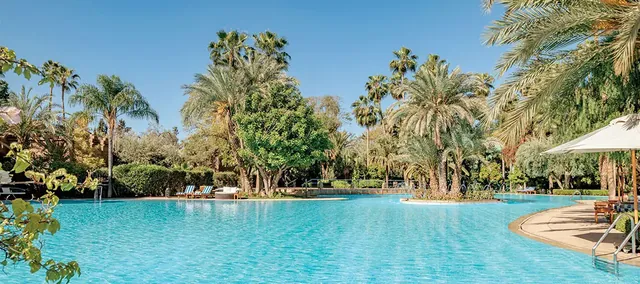 Une vaste piscine bleue est bordée de grands palmiers et de jardins verdoyants.