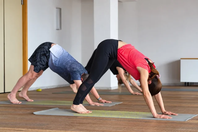 Des participants tiennent le chien tête en bas sur des tapis de yoga dans un studio lumineux, les hanches levées et les mains appuyées au sol.