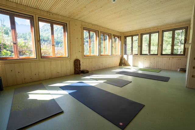 Yoga mats are arranged across the floor of an empty wooden room, with sunlight streaming through windows overlooking trees.