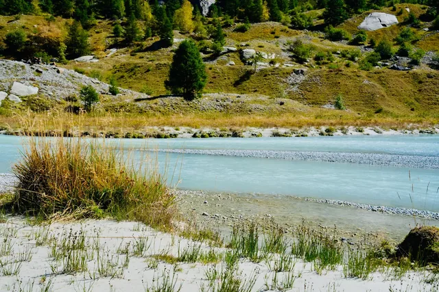 Pale turquoise water meets a grassy, stony shore below a green alpine slope scattered with trees and boulders.