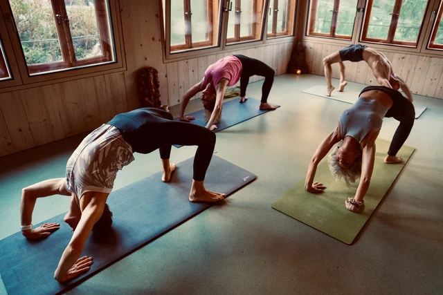 Four people hold wheel pose on their yoga mats in a sunlit wooden room with large windows overlooking trees.