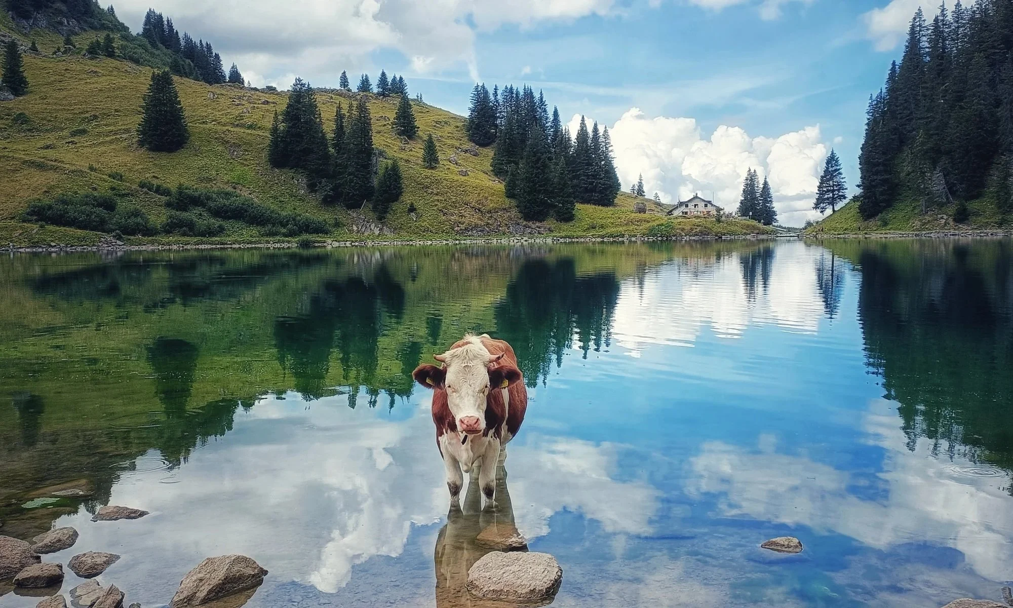 Alpine lake in Val d’Hérens